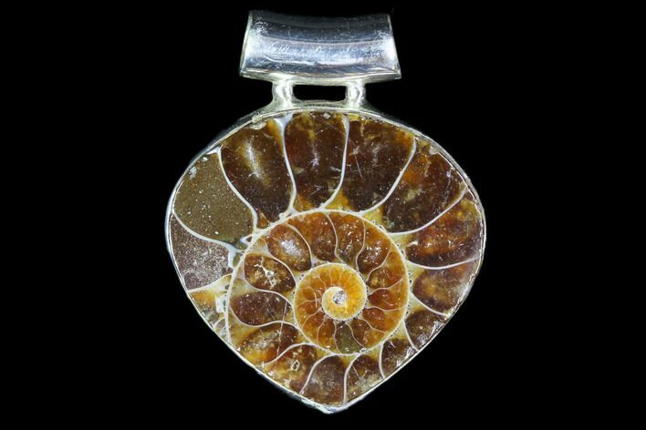 Ammonite Fossil Pendant - Sterling Silver #82228